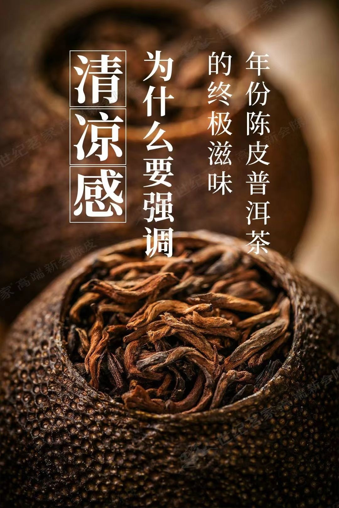 陈皮普洱茶系列之二 年份陈皮普洱茶的终极滋味丨为什么要强调清凉感？